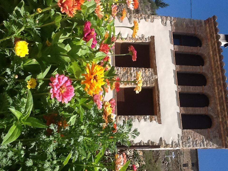 Casa Rural Caseta De L' Hort Villafranca del Cid Phòng bức ảnh