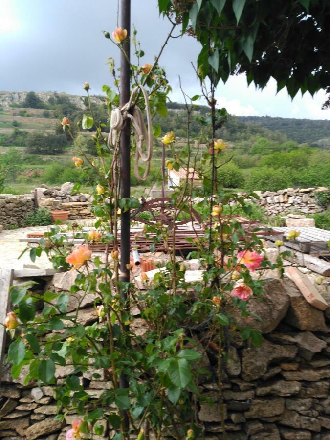 Casa Rural Caseta De L' Hort Villafranca del Cid Ngoại thất bức ảnh
